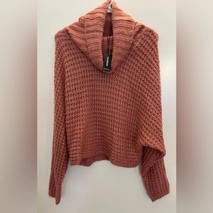 Express Cozy Knit Turtleneck